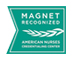 magnet